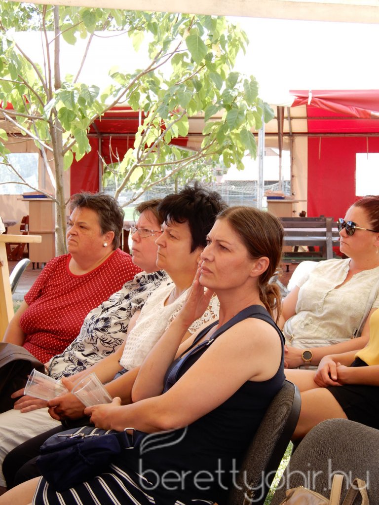 Semmelweis napi party 28